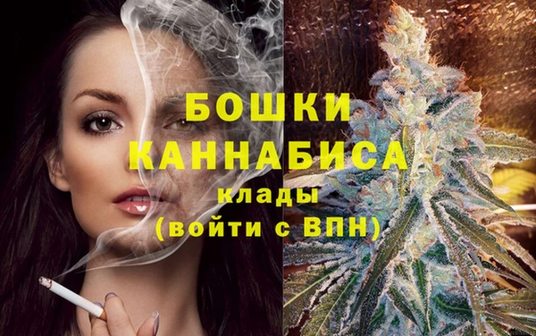ешки Вязьма