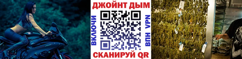 Купить закладки  Сорочинск  Бошки Шишки OG Kush 